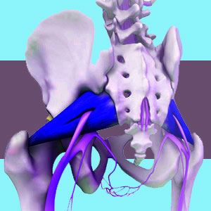 Natural Piriformis Treatment