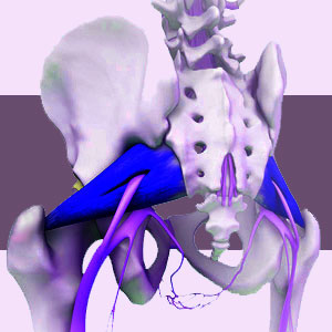 Piriformis Prescription